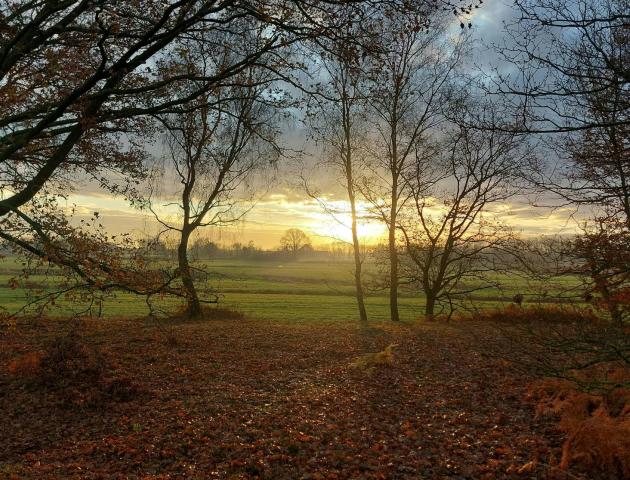 Polderwandeling Heindonk © Wim Dirckx