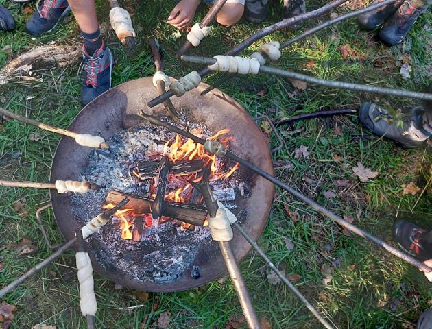 Bushcraft in de Biezenweiden © Wim Candries