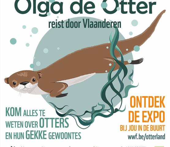 Olga de otter affiche