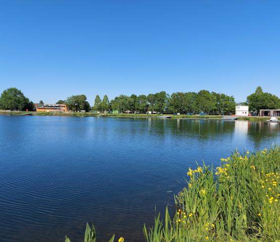 Recreatie- en captatieverbod wegens cyanobacteriënbloei op recreatievijver Hazewinkel Sport Vlaanderen