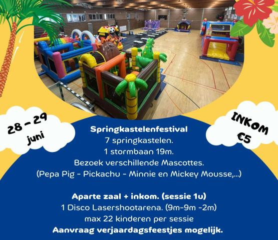 Springkastelenfestival te Willebroek 2025 © ben