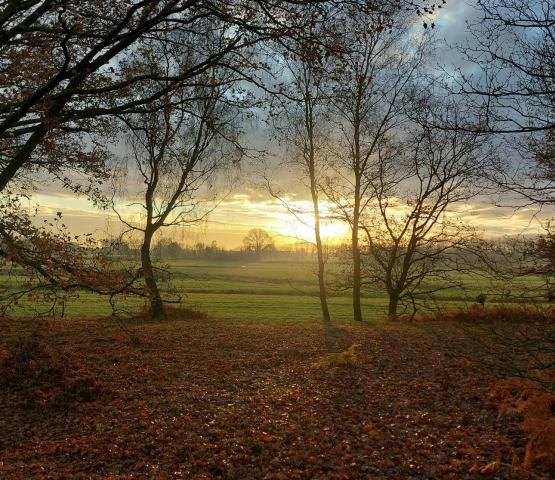 Polderwandeling Heindonk © Wim Dirckx