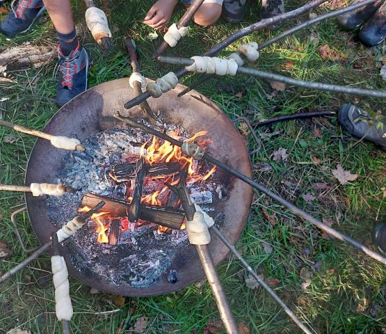 Bushcraft in de Biezenweiden © Wim Candries