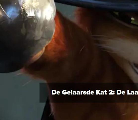 Openluchtfilm: De Gelaarsde Kat 2 © Gemeente Willebroek